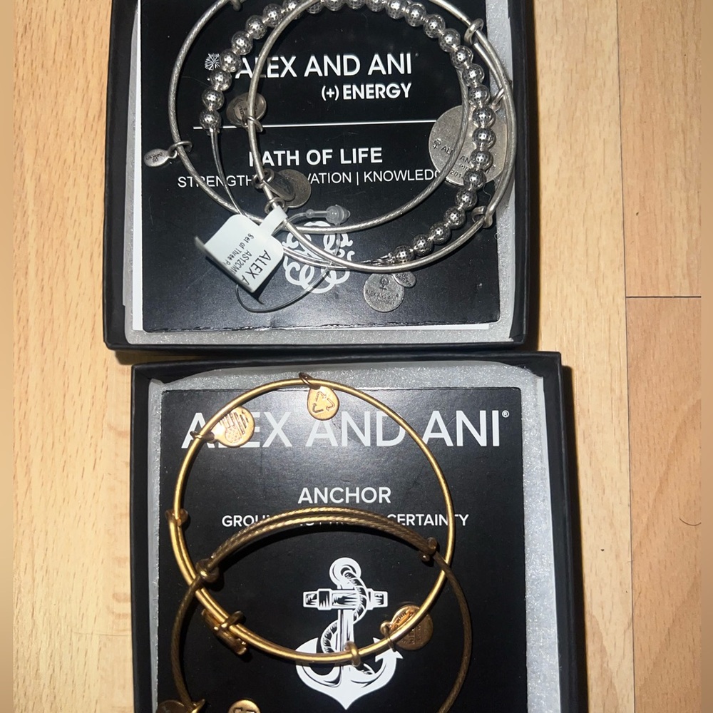 Alex and Ani Silver and Gold Bangle Set